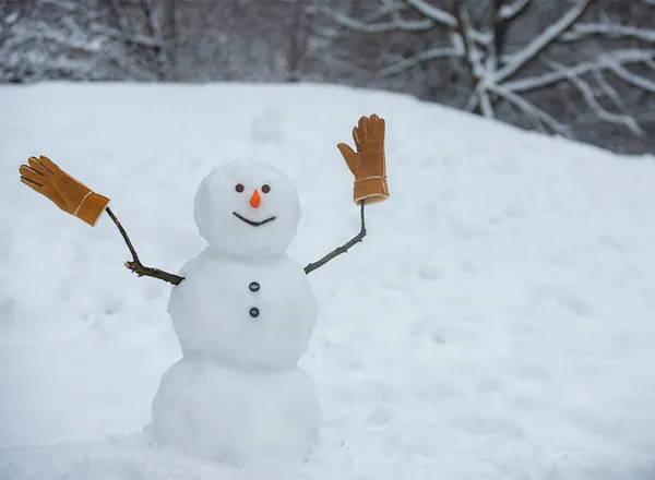 Schneeleute
